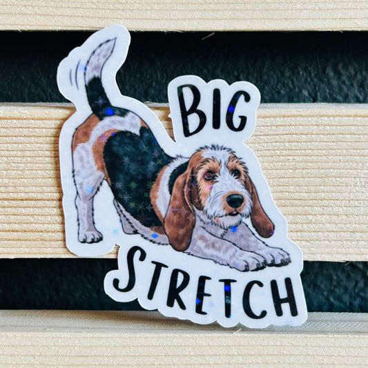Big Stretch Holographic Waterproof Vinyl Sticker