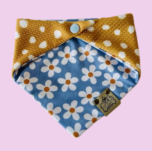 Polka dot Daisies