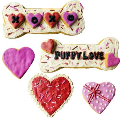 Single Valentines Day Pumpkidoodles